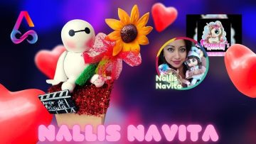 Creaciones con Amor: Nallis Navita